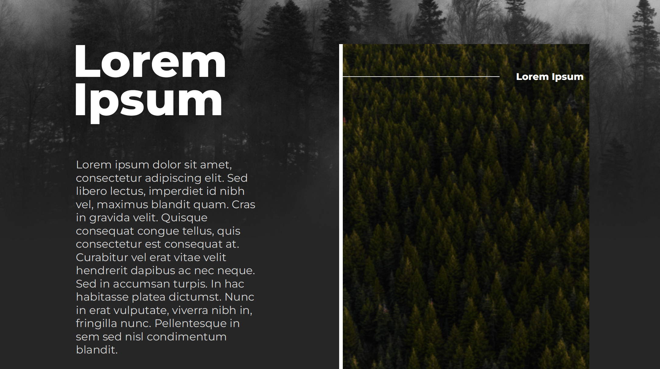 Landing Page, page 4
