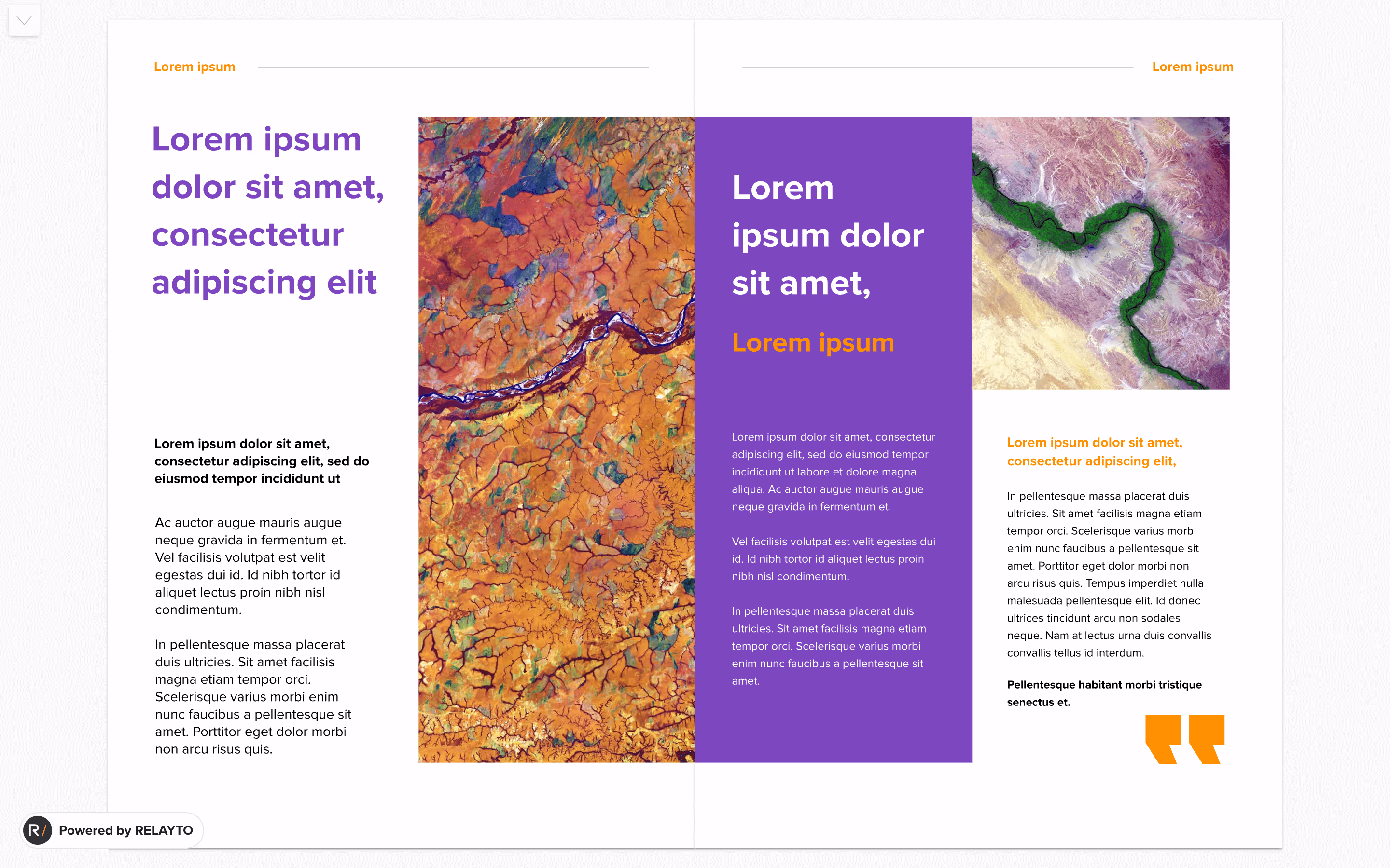 Digital Company Newsletter, page 2