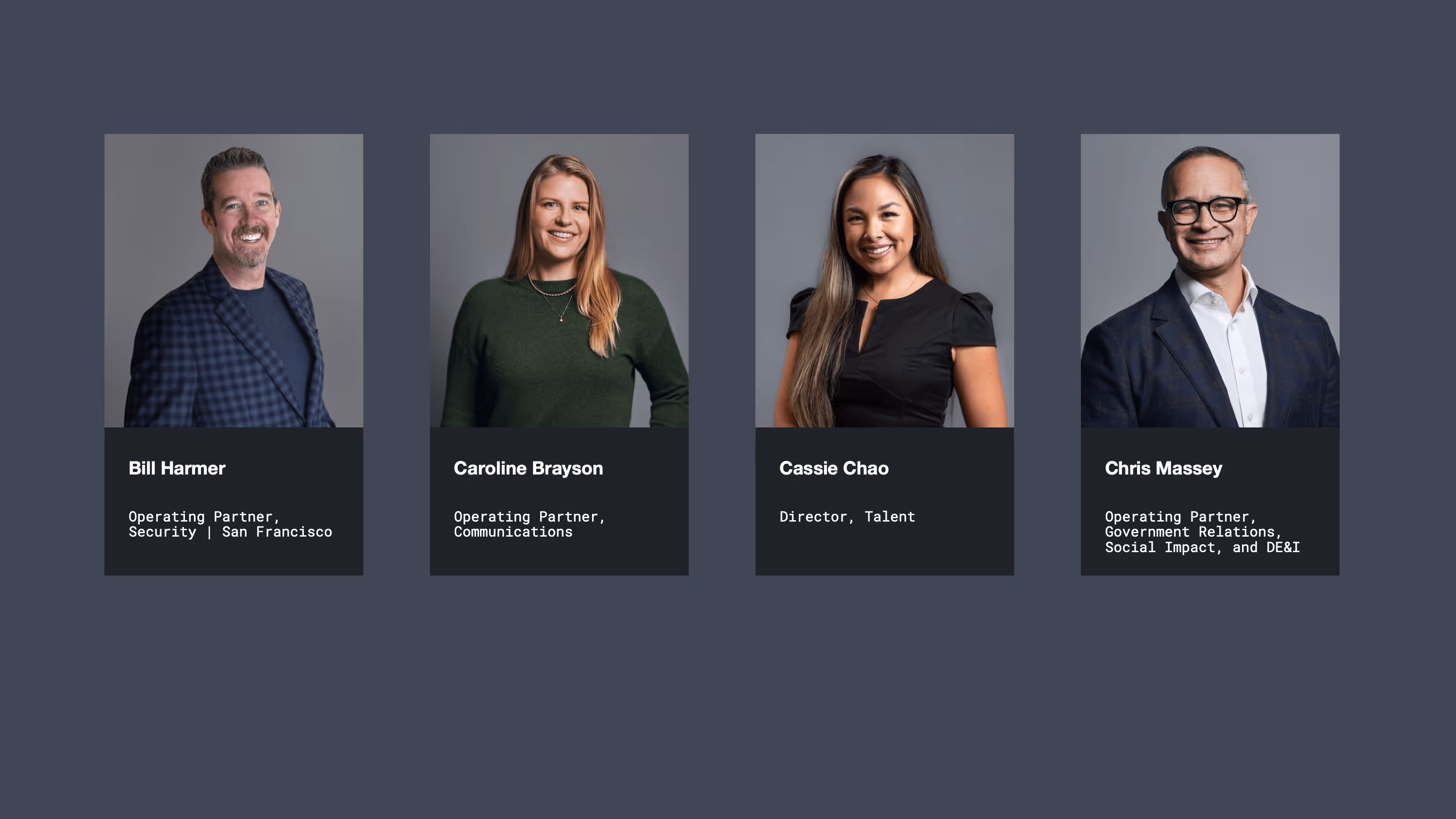 Corporate Microsite, page 5