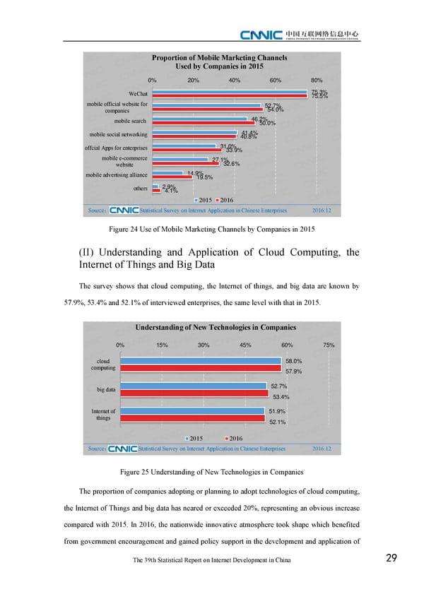 Statistical Report on Internet Development in China - Page 39