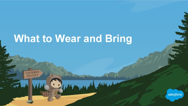 30 Really Good Pieces of Advice for Dreamforce First Timers - Page 13
