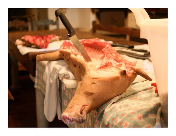 Startups and the Economic Downturn - Page 3