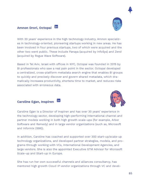 The Sales Operations Playbook - Page 85