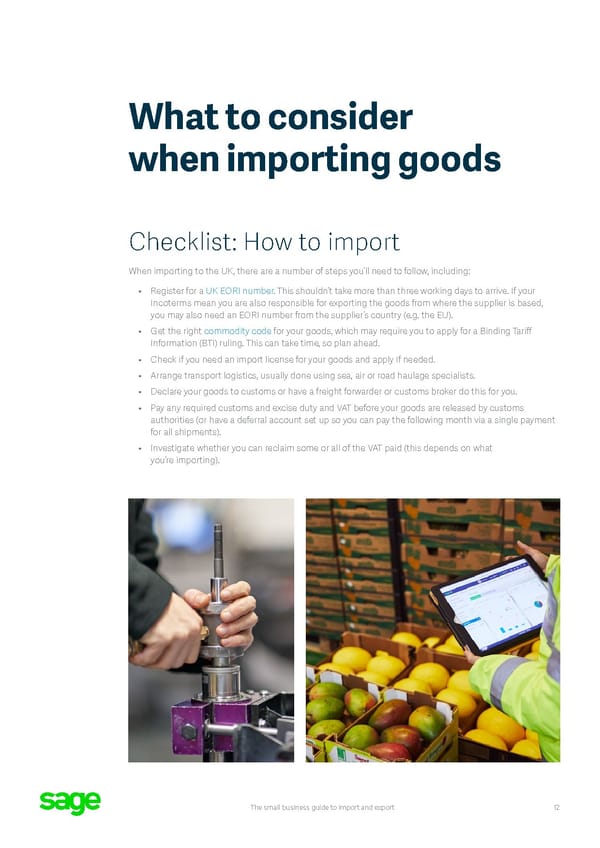 Sage Small Business Guide: Import and Export Flipbook - Page 12