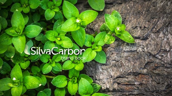 SilvaCarbon Brand Book - Page 1