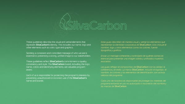 SilvaCarbon Brand Book - Page 2