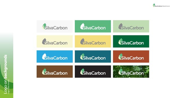 SilvaCarbon Brand Book - Page 9