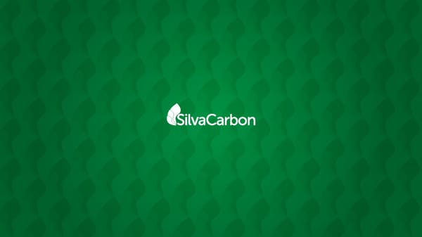 SilvaCarbon Brand Book - Page 14