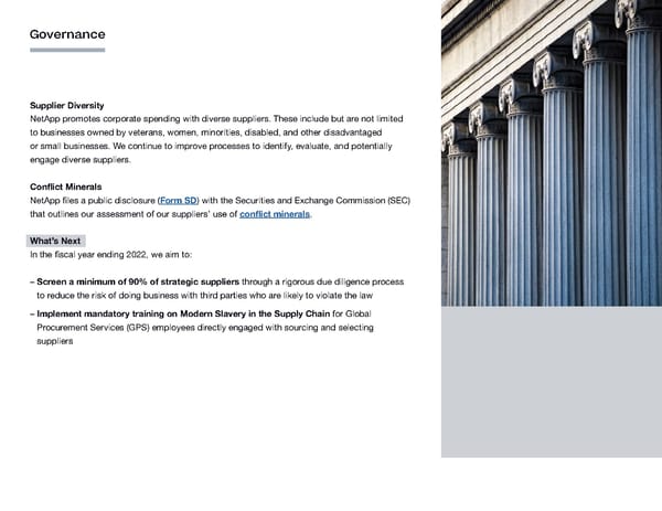 ESG Report | NetApp - Page 45
