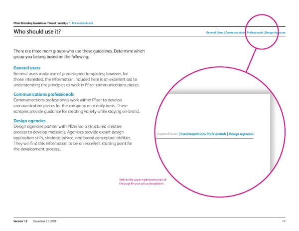 Pfizer Brand Book - Page 17