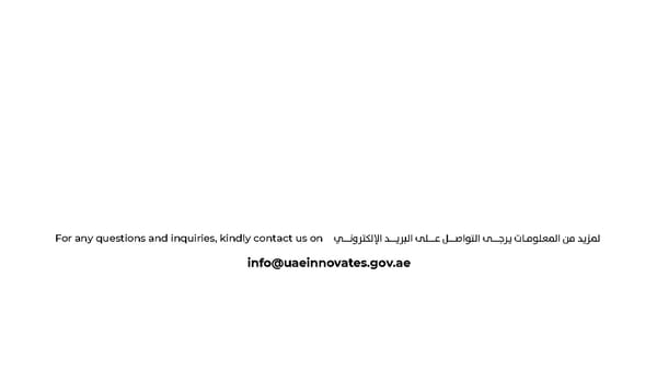 UAE Brand Book - Page 13