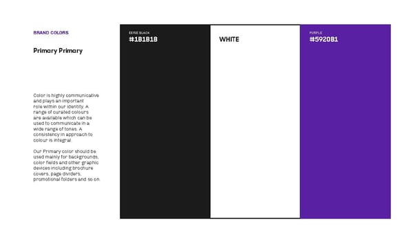 Capital Aid Brand Book - Page 10