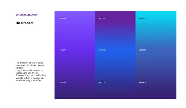 Capital Aid Brand Book - Page 13