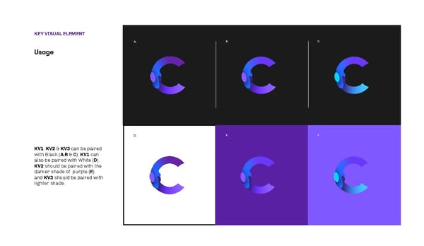 Capital Aid Brand Book - Page 15