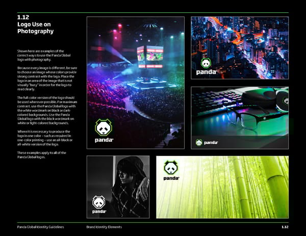 Panda Global Brand Book - Page 13