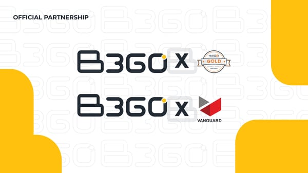 B360 Brand Book - Page 9