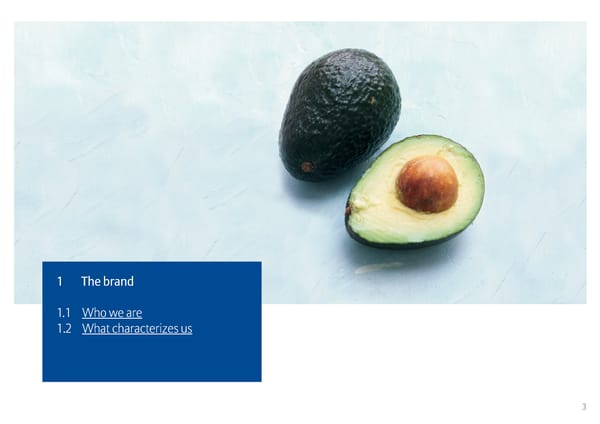 Allianz Brand Book - Page 3