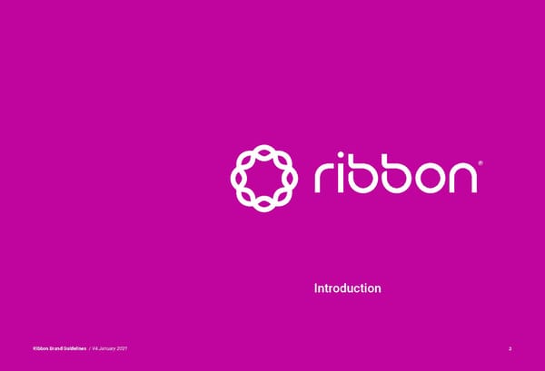 Ribbon Brand Book - Page 3
