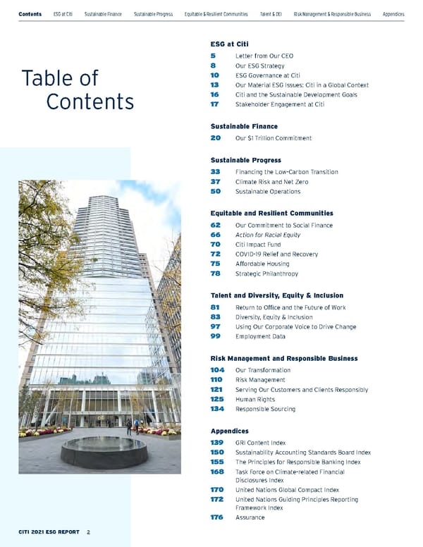 Citi ESG Report - Page 2