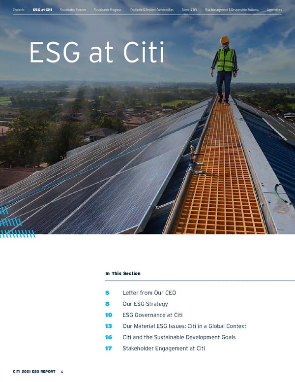 Citi ESG Report - Page 4
