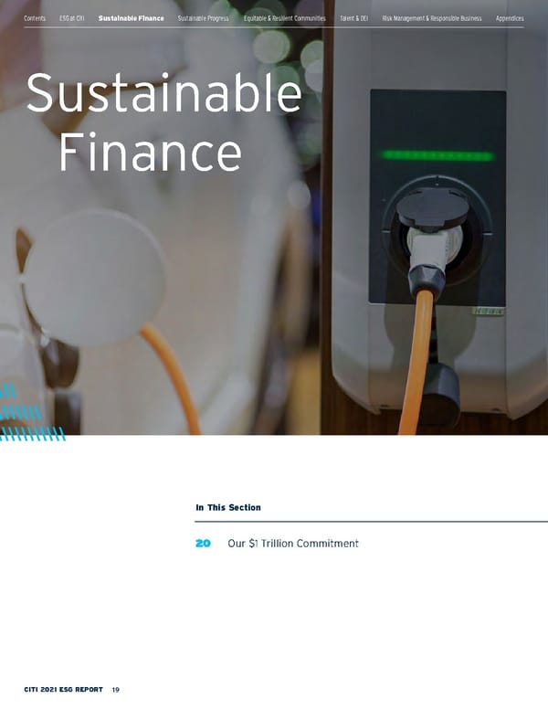 Citi ESG Report - Page 19