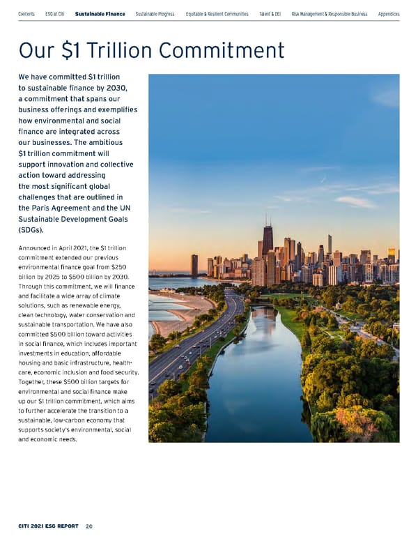 Citi ESG Report - Page 20