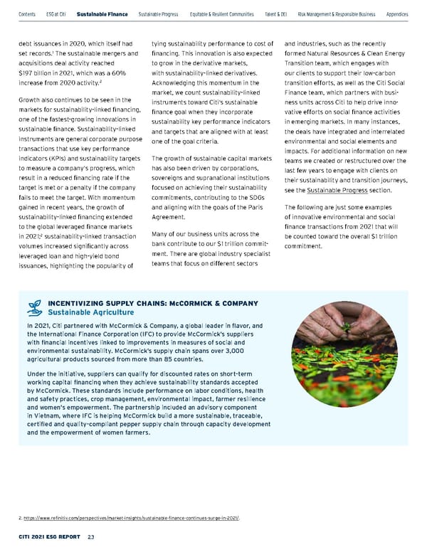 Citi ESG Report - Page 23