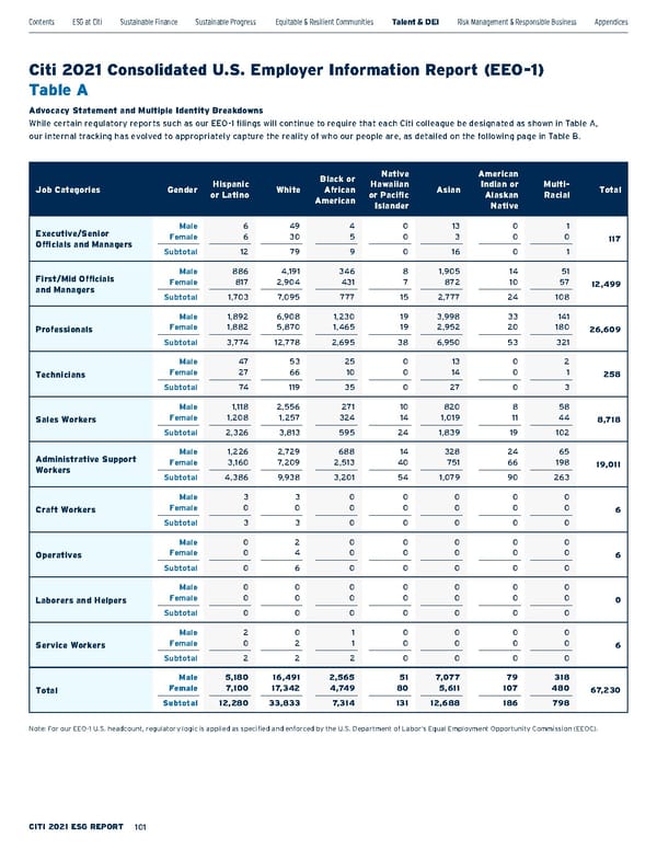 Citi ESG Report - Page 101