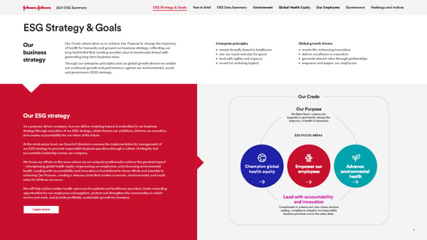 Johnson & Johnson ESG Summary - Page 2