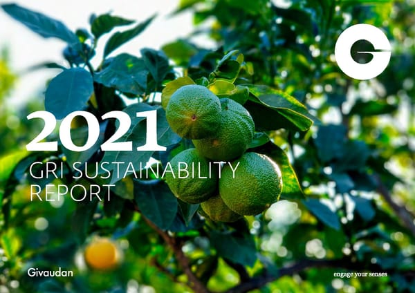 GRI Sustainability Report - Page 1