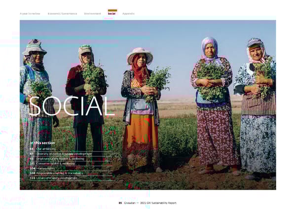 GRI Sustainability Report - Page 86