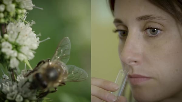 GIV 2025 Strategy - Page 1