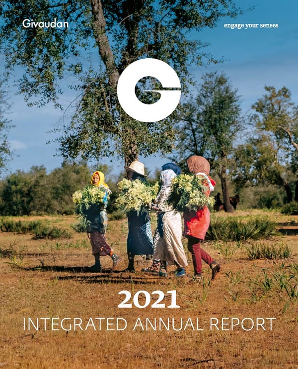 Integrated Annual Report - Page 1