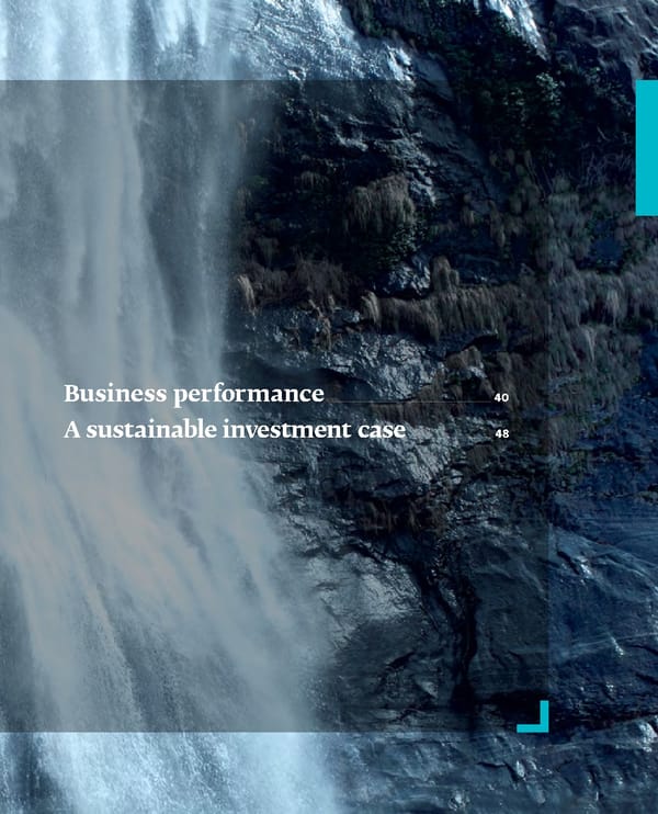 Integrated Annual Report - Page 41