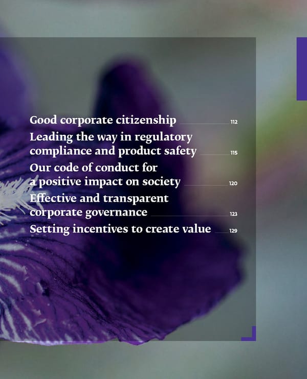 Integrated Annual Report - Page 113