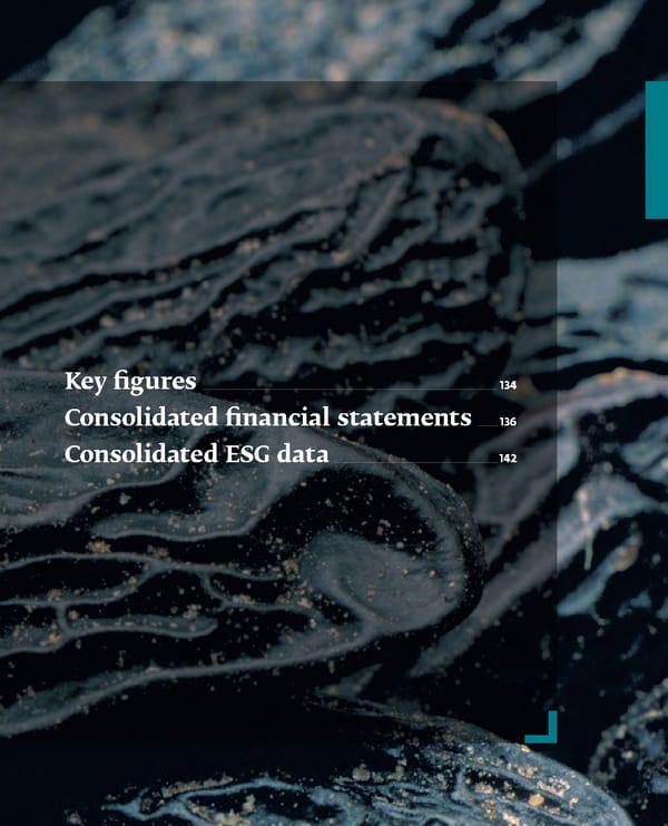 Integrated Annual Report - Page 135