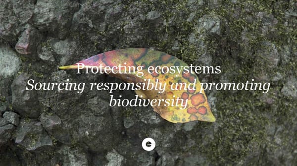 ESG Microsite | Givaudan - Page 19