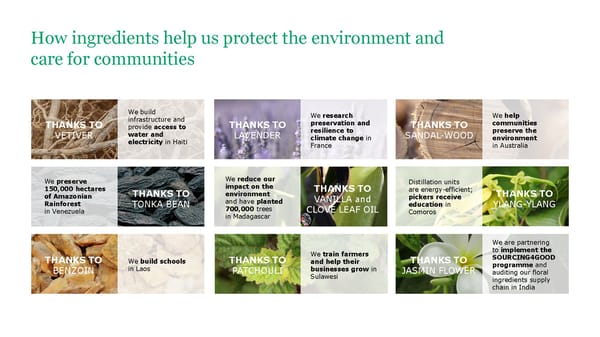 ESG Microsite | Givaudan - Page 38