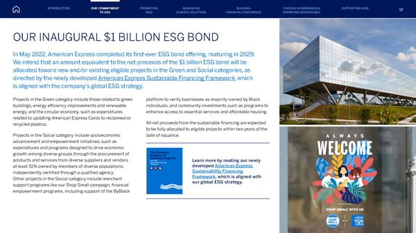 American Express ESG Report - Page 12