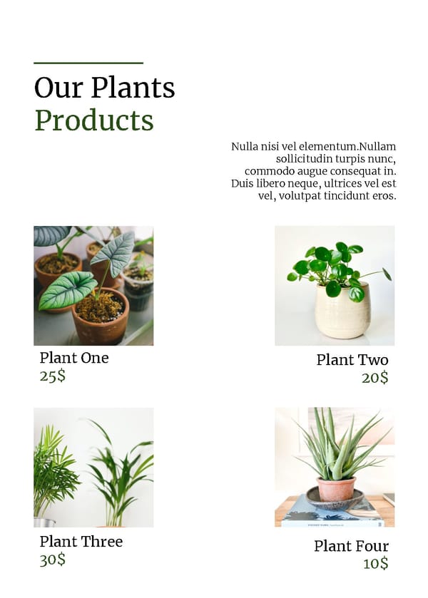 Plants Business Brochure Template - Powerpoint, Google Slides - Page 4