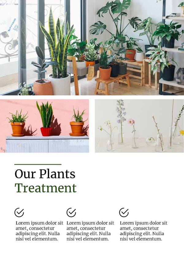 Plants Business Brochure Template - Powerpoint, Google Slides - Page 5