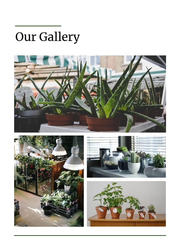 Plants Business Brochure Template - Powerpoint, Google Slides - Page 7