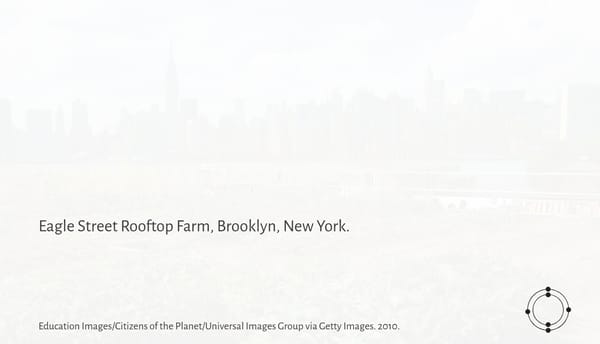 Seeds of Hope - Page 45