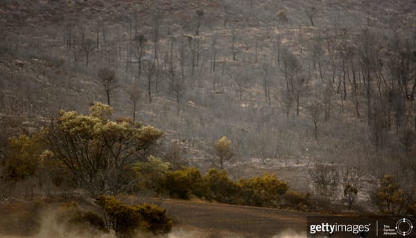 With Your Own Eyes: Climate Change In Photos - Page 38