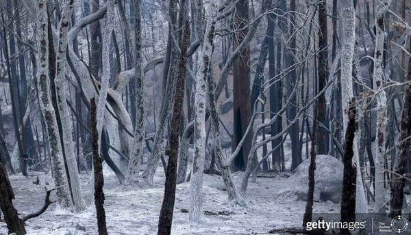 With Your Own Eyes: Climate Change In Photos - Page 40