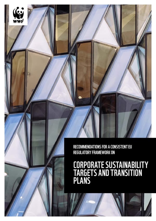 Corporate Sustainability & Transition Plans - Page 1