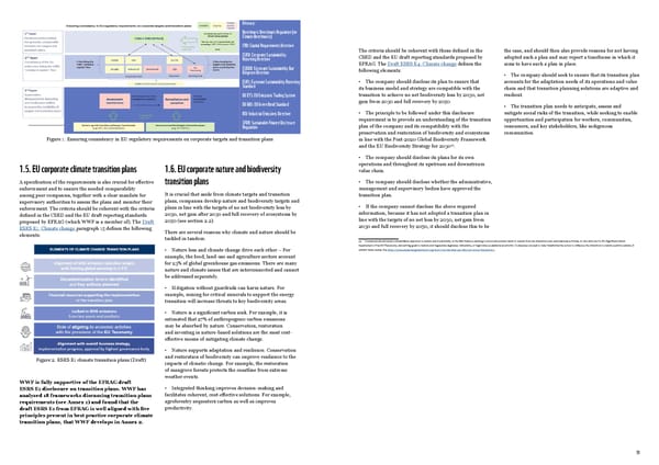 Corporate Sustainability & Transition Plans - Page 6