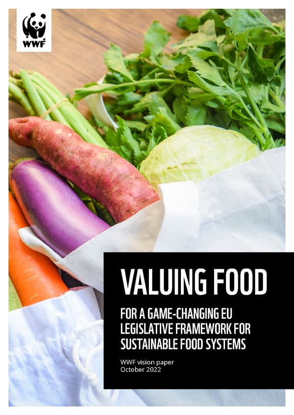 Valuing Food - Page 1