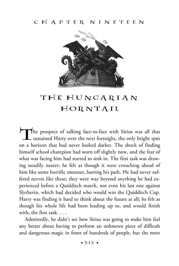 Harry Potter and the Goblet of Fire - Page 329