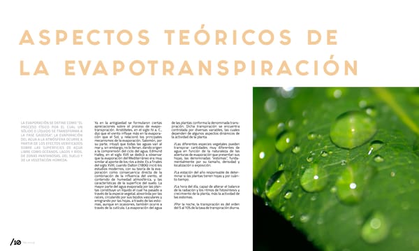 Revista ConTécnicos News #8 - Page 10